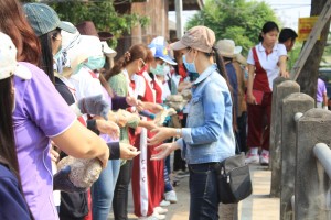 IMG_8952